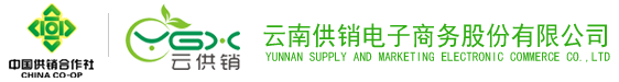 z6尊龙电子商务股份有限公司